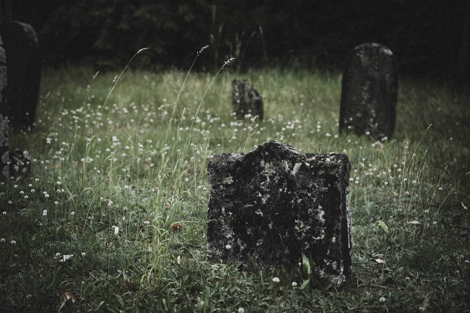 Rheda Wiedenbrück 0502